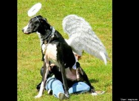Mommy's little Angel