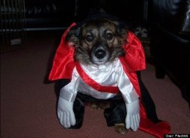 Leia as Dracula