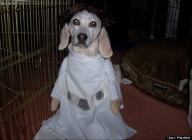 May the force be with you