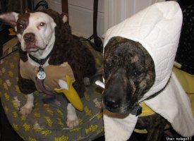Ignatius and Evangeline