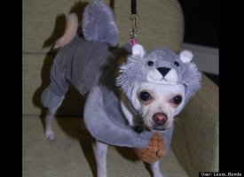 Molly as her arch nemesis!