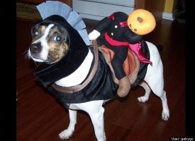Maximus as Daredevil