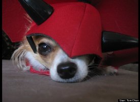 Red Devil