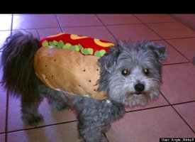 Hot Dog!
