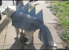 Dogasaurus Rex