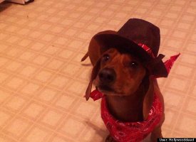 I'm an old cowhand