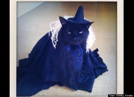 Boo-witched!