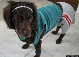 Olivia Newton Lola