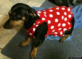 Where's my red booties