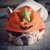 Pumpkin Pooch