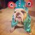 Monster Bulldog