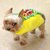 Tiny Taco Pup