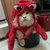Lobster Cat
