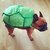 Turtle Dog