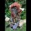 CaveDog
