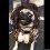 Snooki pug!