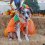 Cutest Pumpkin in the Patch