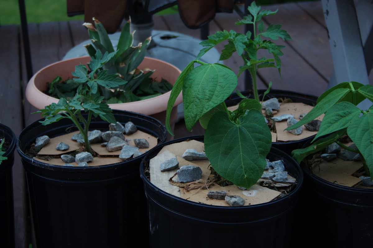 10 Unique Uses For Cardboard HuffPost