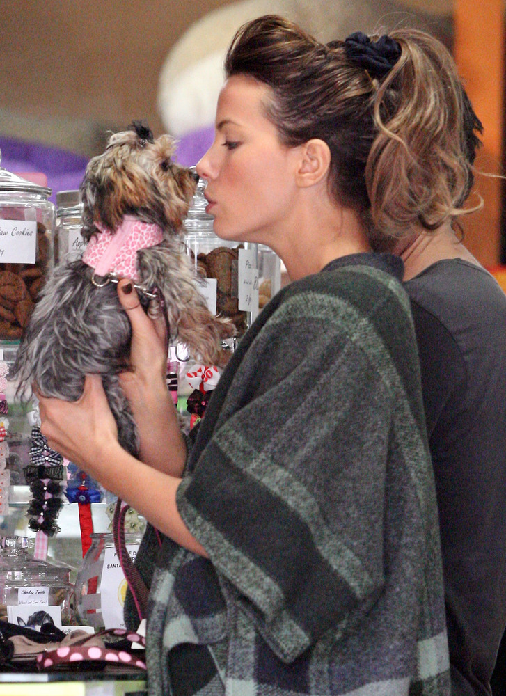 13 Celebrities Who Prove The Scrunchie Will Never Die HuffPost