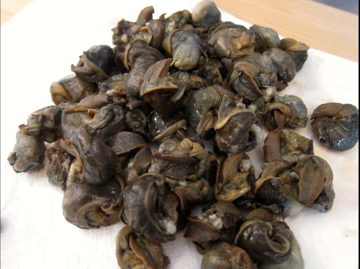 Cooking Off the Cuff the Shells A Better Way to Eat Snails