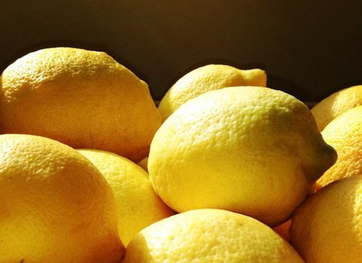 Meyer Lemons From Ojai California Sunshine in a Box HuffPost