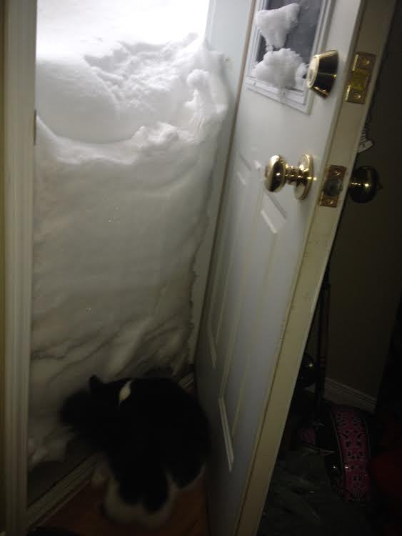 grey or gray canadian spelling