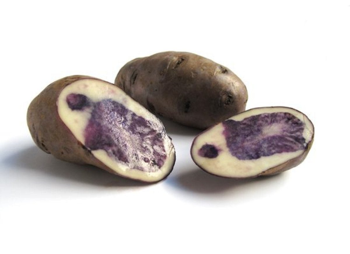 ↟Supernal Health↟ — A Guide To Every Type Of Potato You Need To Know