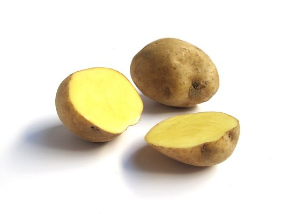 ↟Supernal Health↟ — A Guide To Every Type Of Potato You Need To Know