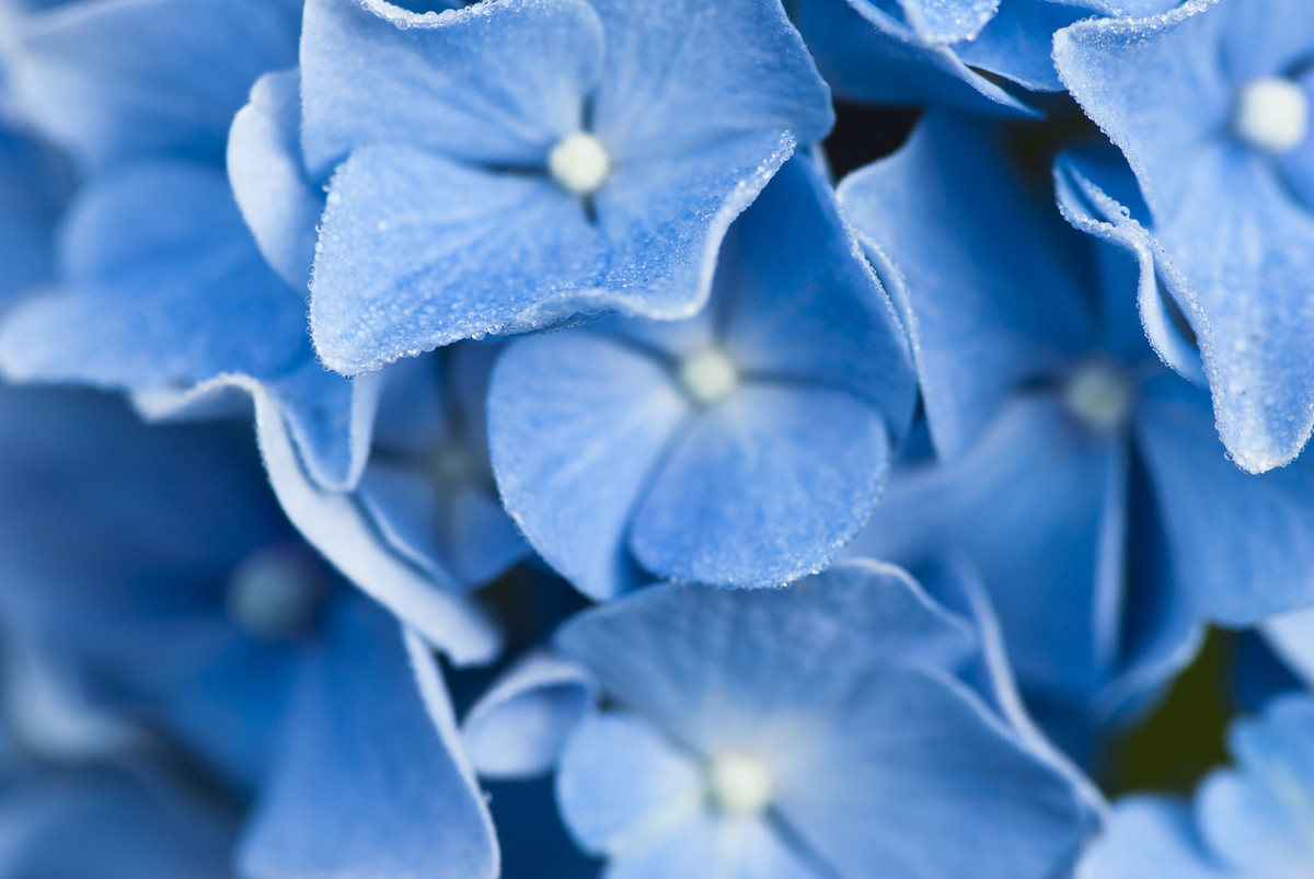 Calming Blue Scenes To Help You De-Stress | HuffPost