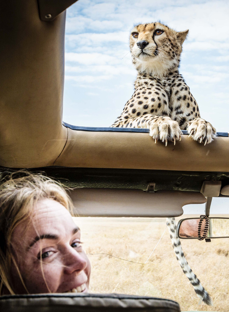 Bobby-Jo Clow with the Cheetah resting on the roof. (BOBBY-JO CLOW PHOTOGRAPHY/CATERS NEWS)