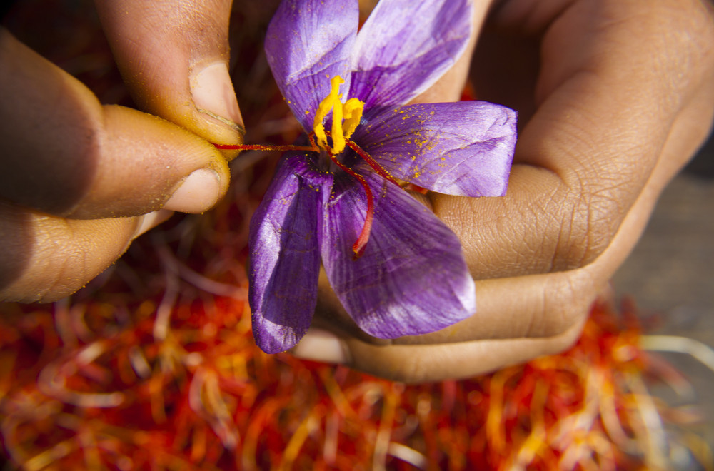 The Surprisingly Beautiful Origin Of Saffron HuffPost