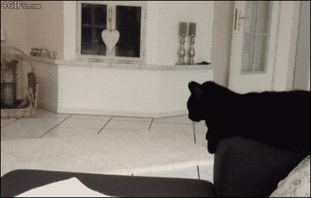 slide_343045_3555971_free.gif