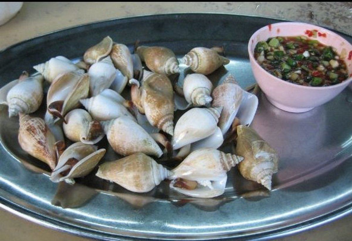 Exotic Seafood You Have to Travel for HuffPost