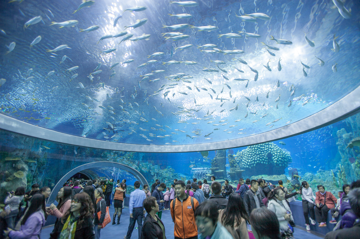 world aquarium