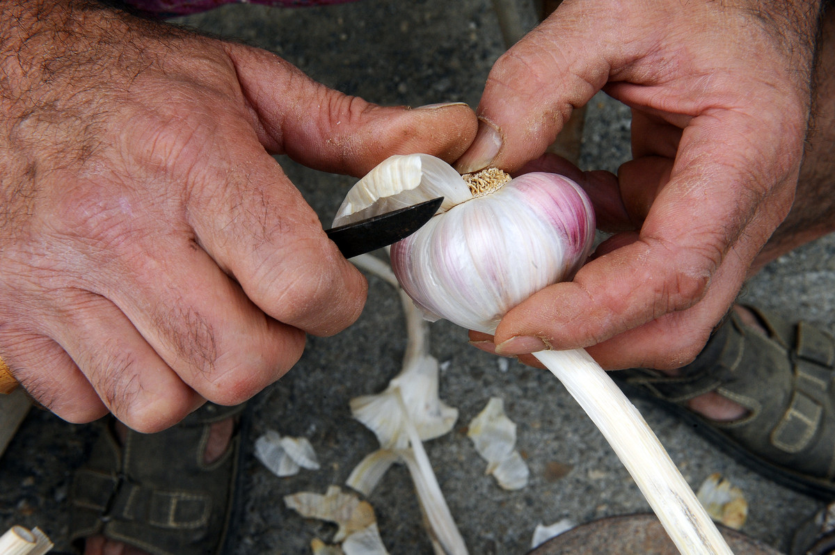 Why You Should Never Buy Minced Garlic In A Jar Again HuffPost