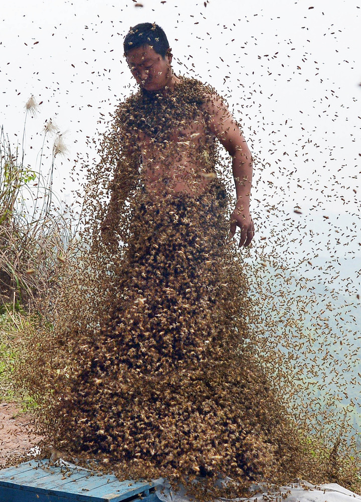 She Ping Chinese Beekeeper Covers Himself With 460 000 Bees Photos