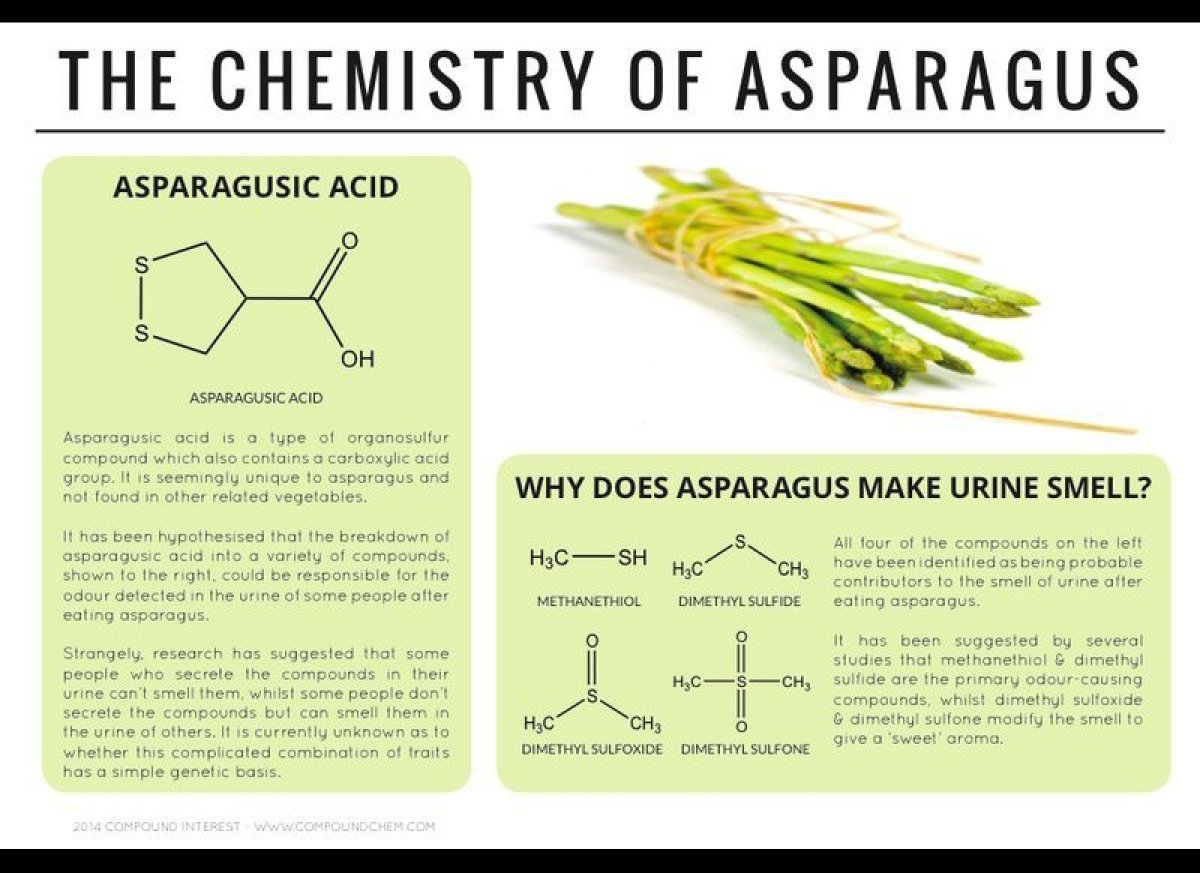 Why Cilantro Tastes Like Soap, Nutmeg Is a Hallucinogenic, And