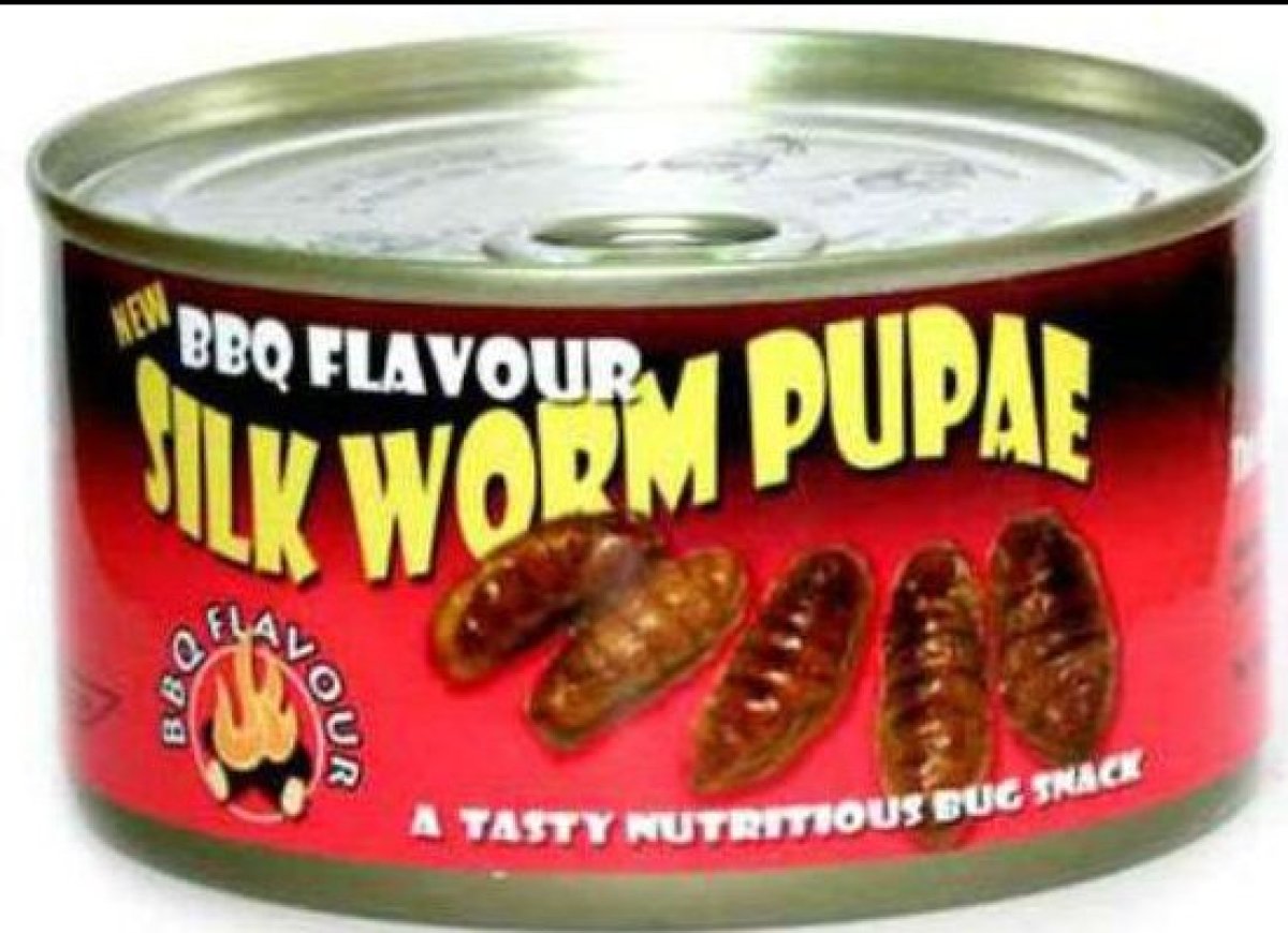 The Most Bizarre Canned Foods From Around The World | HuffPost