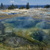 USA Wyoming Yellowstone National Park. Geysers at West Thumb....