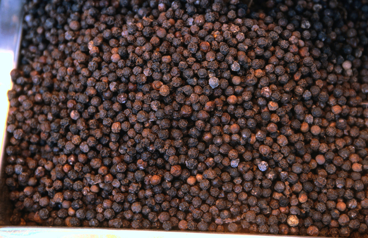 Everything You Need To Know About Peppercorns, The Most Widely Used