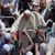 Papa Francesco in Palestina