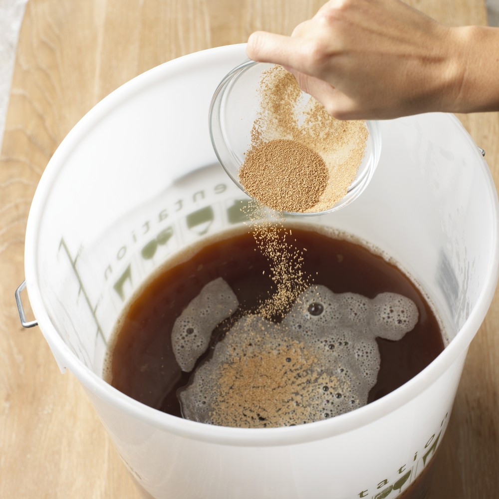 So What The Hell Is Yeast, Anyway, And How Does It Work? HuffPost