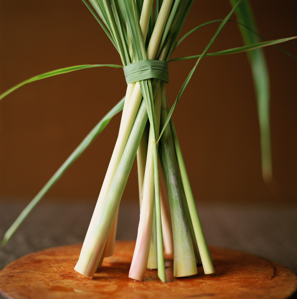 What Does Lemongrass Oil Repel - Why Lemongrass Repels Insects