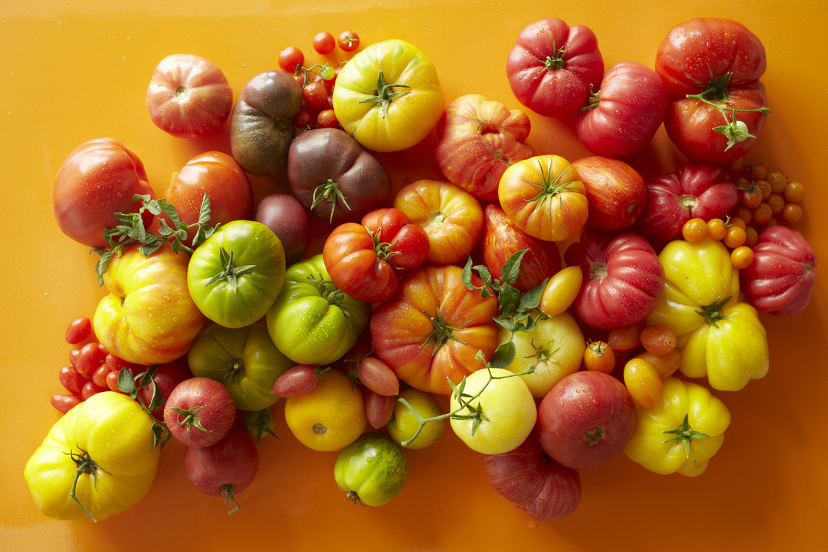 11 Things You Never Knew About Tomatoes HuffPost