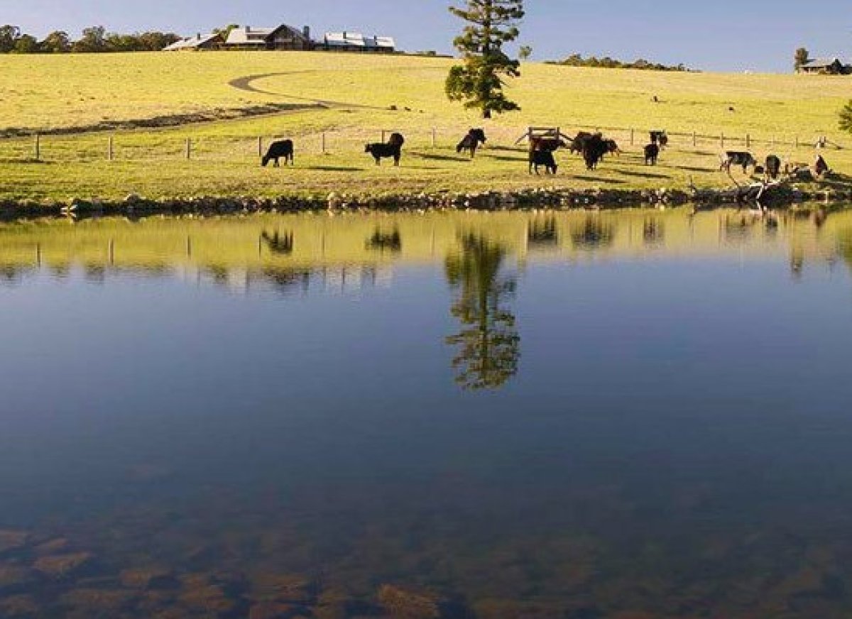 Best ranch in the world -- Spicer's Peak Lodge