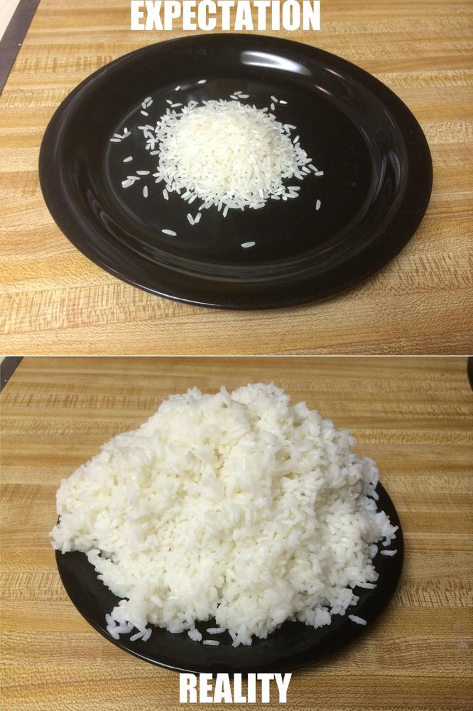 All The Times Rice Beat Us In The Game Of Life HuffPost