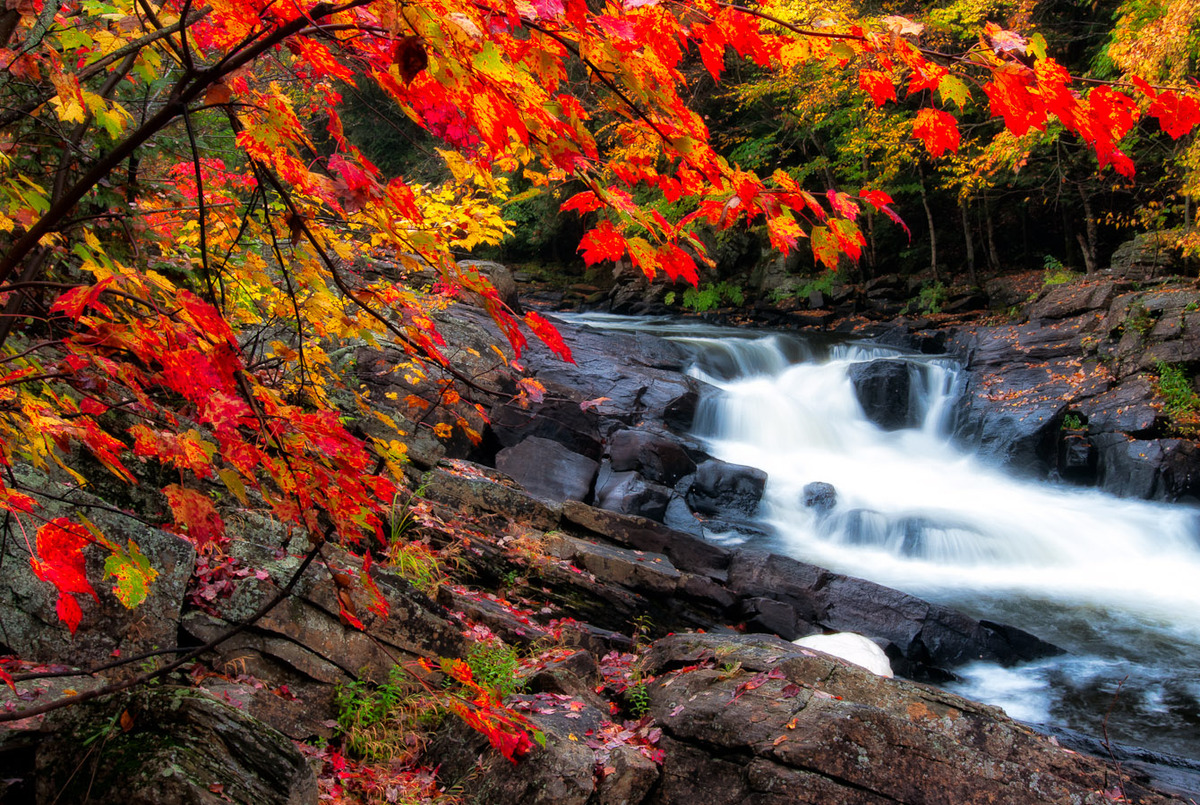 Fall Photos In Canada Remind You Why It's The Greatest Season