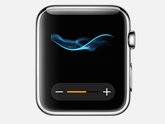 can you three way walkie talkie on apple watch