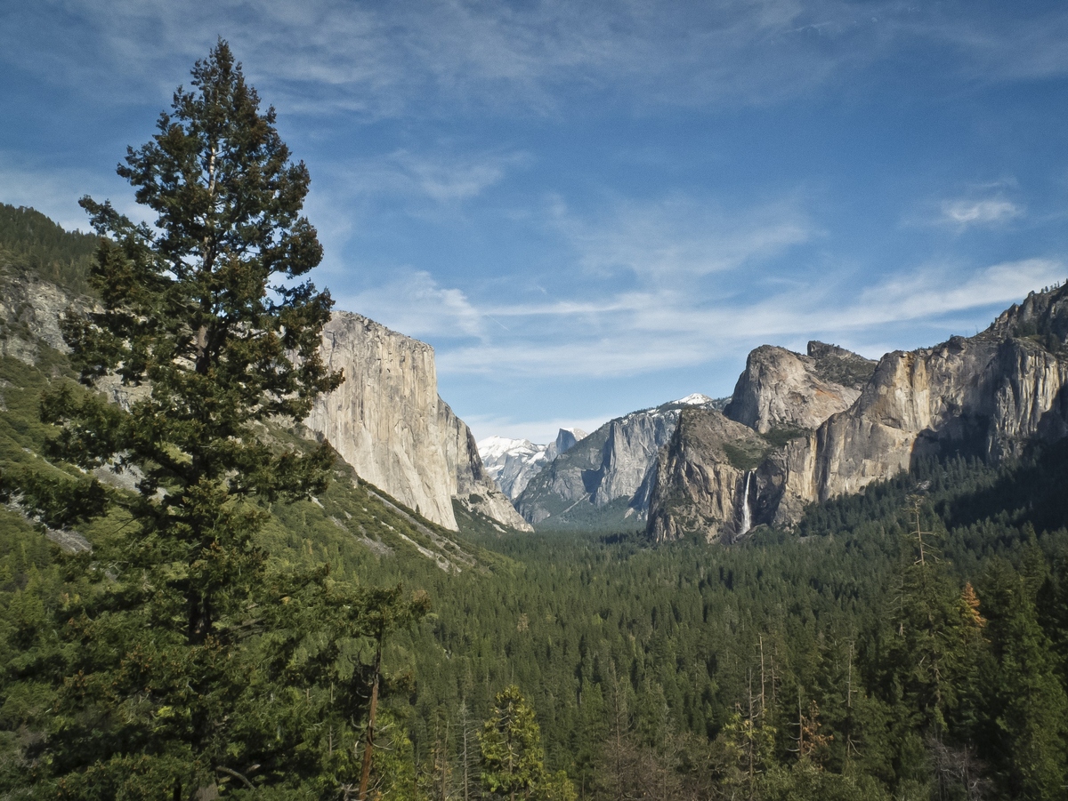 You Can Visit The National Parks For Free This Weekend In Honor Of ...