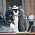 George Clooney y Amal Alamuddin, tras la ceremonia de su boda civil